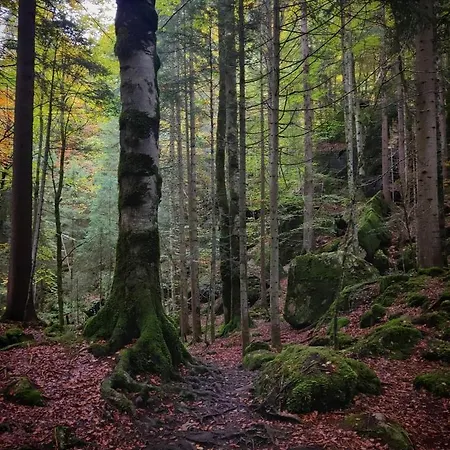 Mountain Oasis Kandersteg-adelboden * Kandergrund
