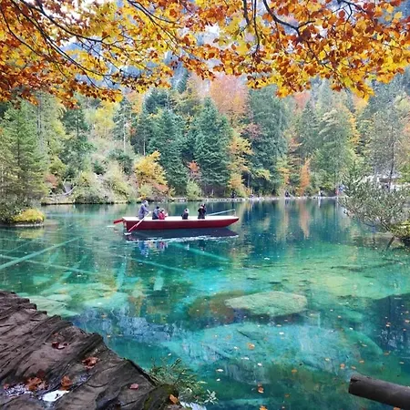 Mountain Oasis Kandersteg-adelboden * Kandergrund