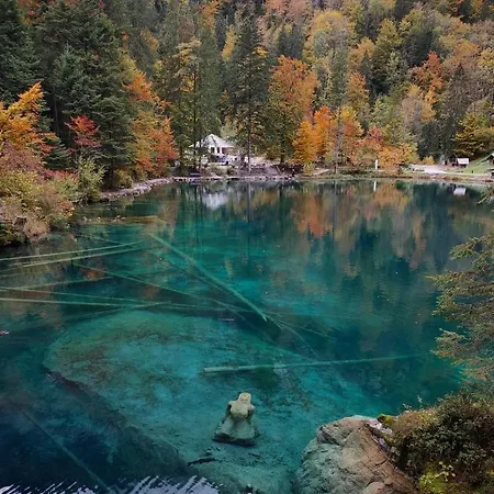 Mountain Oasis Kandersteg-adelboden アパート