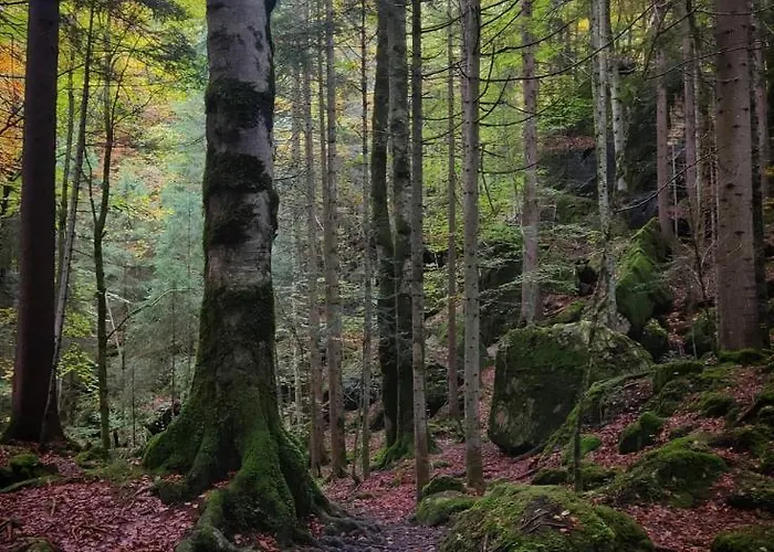 Mountain Oasis Kandersteg-adelboden * Kandergrund